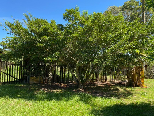 Chácara 4.300 M² - Lomba Grande - Novo Hamburgo - Rs - 2503 - 69237736
