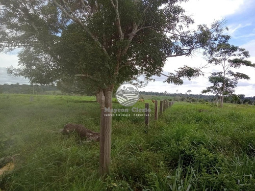 Imagem 13 de 14 de Venda Sítio Machadinho D'oeste Em Rondônia - Sia247