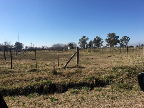 Imagen 3 de 11 de Terreno 20x50 En Tres Sargentos, Carmen De Areco