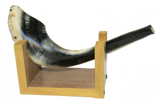 Imagem 2 de 10 de Shofar Chifre De Carneiro De Tocar Ou Ungir/unção + Suporte - Original De Israel