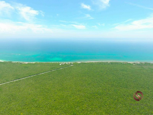 Imagen 8 de 12 de Terreno En Venta Aldea Zama Tulum