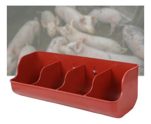 Alimentador De Porco Com 4 Compartimentos Bandeja De