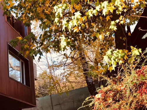 Imagen 10 de 23 de Casa Centro Altos Del Sol - San Martin De Los Andes