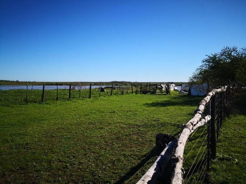 Imagen 28 de 29 de Campo De Isla Ganadero, 2.000 Has Sobre El Paranacito