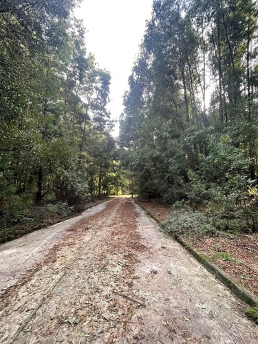 Terrenos En Venta Lo Pequen, Alto Concepción