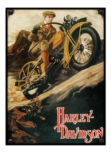 #121 - Cuadro Vintage 21 X 29 Cm / Harley Davidson!