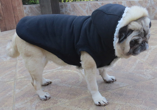Roupa Cachorro/ Gato Inverno Frio Gorro - Casaco Com Forro