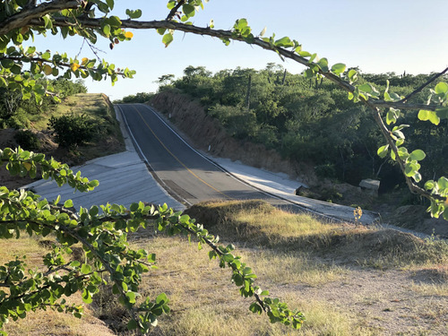Zacaton Playa Tortuga, Zacaton Developer Land