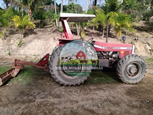 Imagem 7 de 20 de Fazenda À Venda Com 80 Alqueires Paulista No Vale Do Ribeira-sp Ref.: 0858
