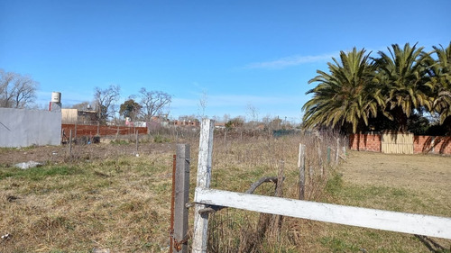 Imagen 10 de 12 de Lote Venta Santa Teresita Calle 47 Entre 11 Y 12