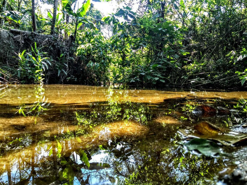 Imagem 5 de 5 de Terreno Na Praia Em Mongaguá Área De Chácara Ref.468