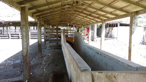 Vendo Rancho Ganadero 223 Hectáreas Temapache Veracruz