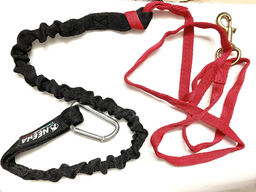 Línea De Tiro De Carrera Bungee 2 Perros (2m (6.5 Pies...