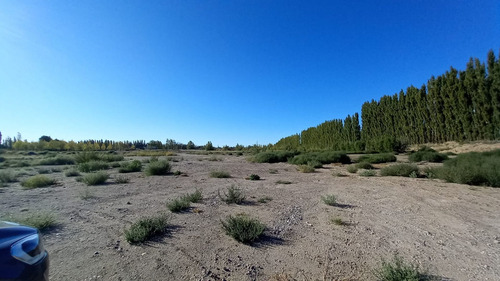 Imagen 23 de 30 de Chacra En Venta Con Casa Y Galpón Cervantes