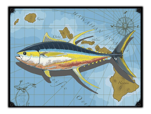 #1048 - Cuadro Vintage Pez Pesca Mar Pescado Poster No Chapa