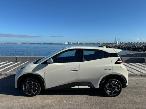 BYD Seagull 300