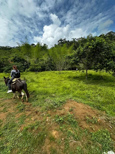 Lote Con Acceso A Río En San Carlos Antioquia