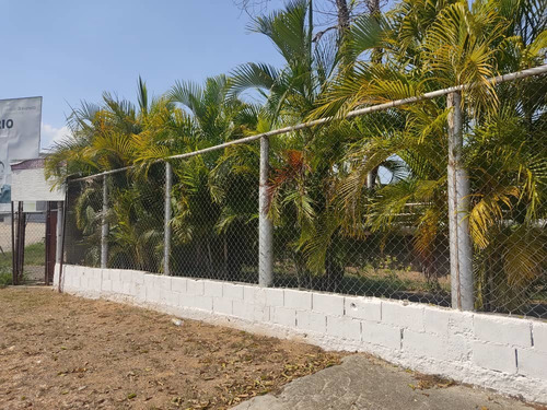 Imagen 5 de 7 de Se Vende Local En La Raiza A Pie De Calle