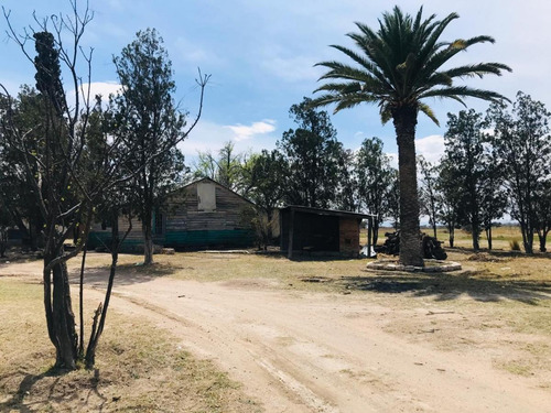 Imagen 2 de 29 de Terreno En Venta 20 Hectareas A 5 Min Boulevard Francisco Villa