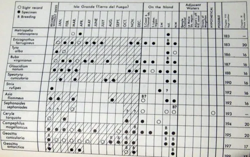 Birds Of Isla Grande Tierra Del Fuego Pájaros Ingles 1970 (Usado)