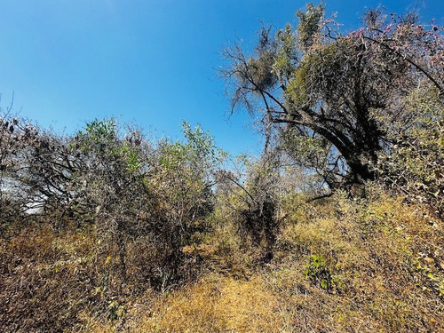 Venta Terreno Comunal Tepoztlan Morelos