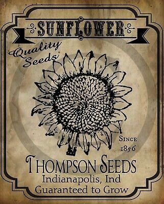 Primitive Country Vintage Sunflower Seeds Packet Laser Pri