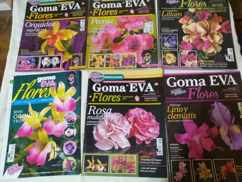 6 Revistas Goma Eva Manualidades Flores Souvenirs Palermo En