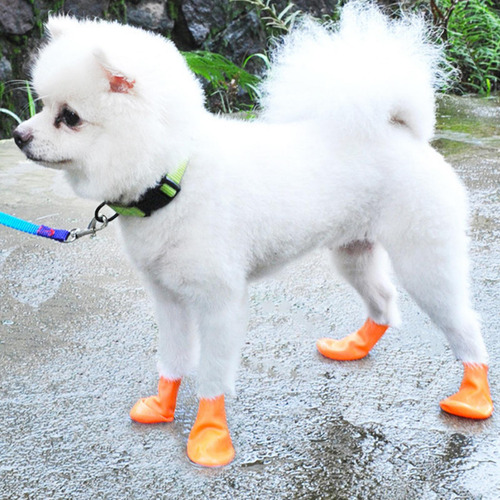 2 Botas De Lluvia Para Perros Zapatos De Nieve Impermeables
