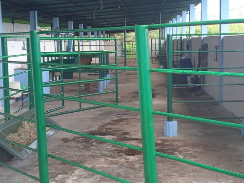 Imagen 13 de 17 de Venta Espectacular Finca San Cristobal, Estado Tachira