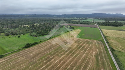 Agrícola En Venta En Lago Ranco La Unión