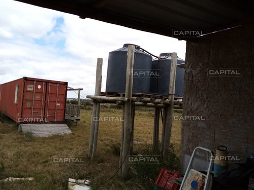 Imagen 7 de 19 de Chacra En Venta De 5 Hectáreas Con Tajamar Y Casa - San Carlos San Carlos