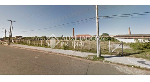 Imagem 6 de 11 de Terreno - Sarandi - Ref: 208903 - V-208903