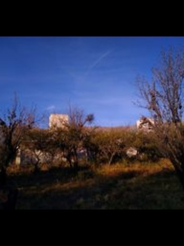 Imagen 2 de 2 de Lote En Venta En Cerro De Oro.