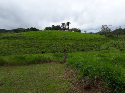 Fazenda - Fa00002 - 34684872