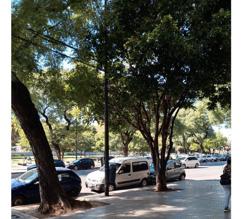 Imagen 2 de 29 de Excelente Departamento De 3 Ambientes