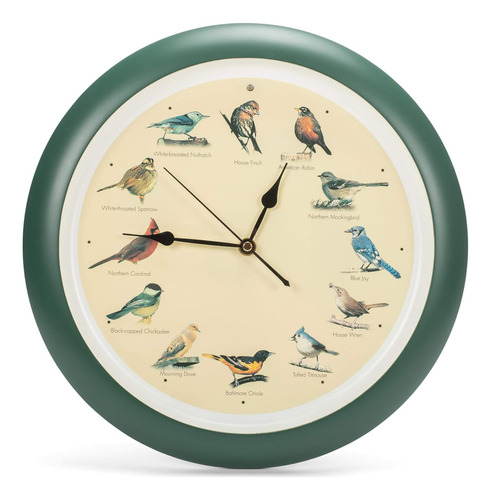 Reloj De Pared Original Para Pájaros Cantores Verde