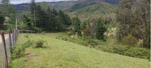 Una Hectárea Con Bosque Y Vertiente A 10 Min De Valdivia