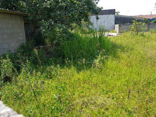 Terreno De Frente A Rodovia No Grandesp - Itanhaém 3885 Npc