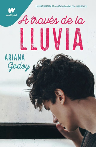 A Través De La Lluvia, De Ariana Godoy. Serie Hermanos Hida