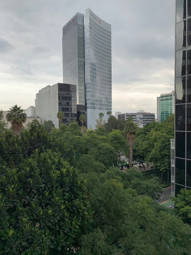 Imagen 13 de 14 de Amplio Departamento En Venta En Paseo De La Reforma