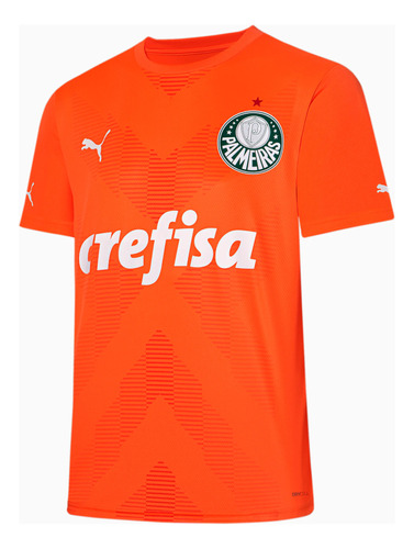 Camisa Palmeiras Oficial  Goleiro Iii Third Jersey 23/24