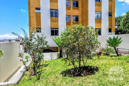 Imagem 14 de 14 de Apartamento À Venda No Carlos Prates - Código 398201 - 398201