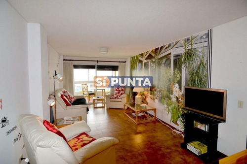 Imagen 4 de 12 de Apartamento Frente Al Mar En Alquiler Anual