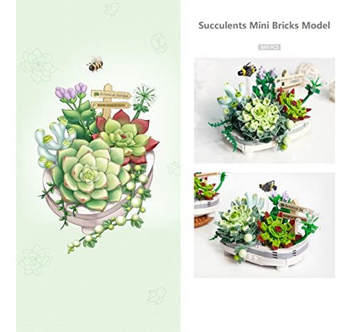 Kit De Bonsáis Suculentos, Regalo Creativo, Construcción De
