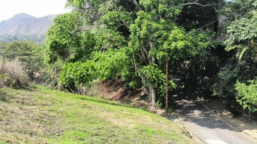 Imagen 5 de 6 de Terreno En Venta En Urb. Carialinda Naguanagua Cod: Fot-180