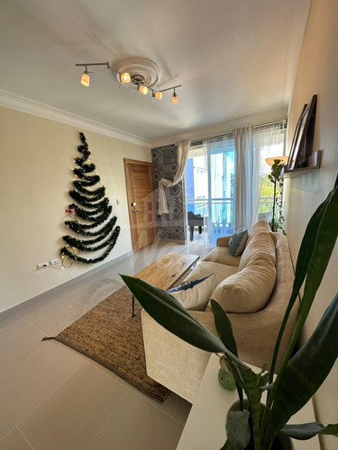 Imagen 5 de 15 de Acogedor Y Hermoso Apartamento En Venta, Santiago (jpa-238)