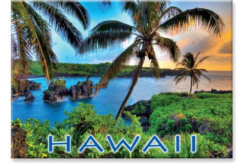 Imán Coleccionable Para Nevera De Arte Hawaiano, Diseño De W