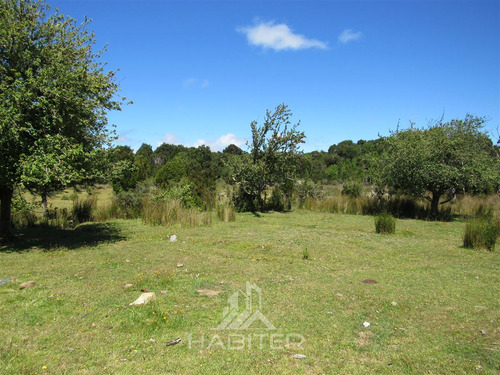 Agrícola En Venta En Hualaihue