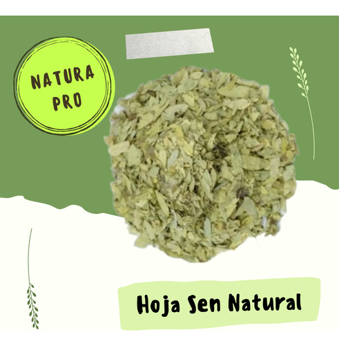 Té De Sen Laxante 100% Natural Regular Tu Digestión 1 Kg