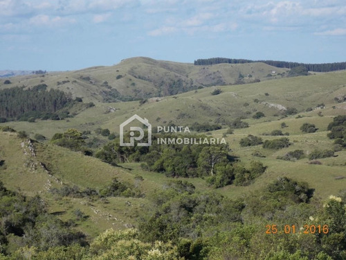 Imagen 24 de 30 de Venta Chacra 96has En Minas, Lavalleja